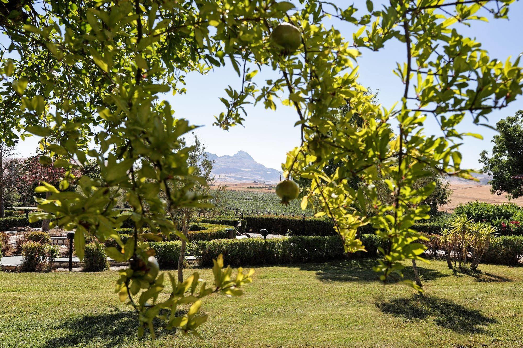 Agriturismo Tenute Pollara Roccamena 외부 사진